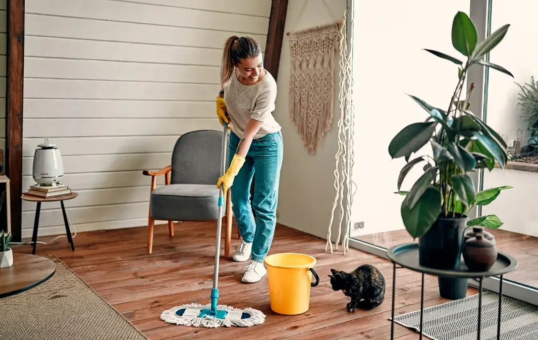 Green Cleaning Services in Arizona and New Jersey with thoughtful home cleaning methods